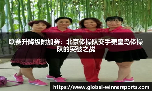 联赛升降级附加赛:北京体操队交手秦皇岛体操队的突破之战