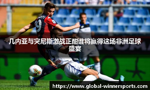 几内亚与突尼斯激战正酣谁将赢得这场非洲足球盛宴